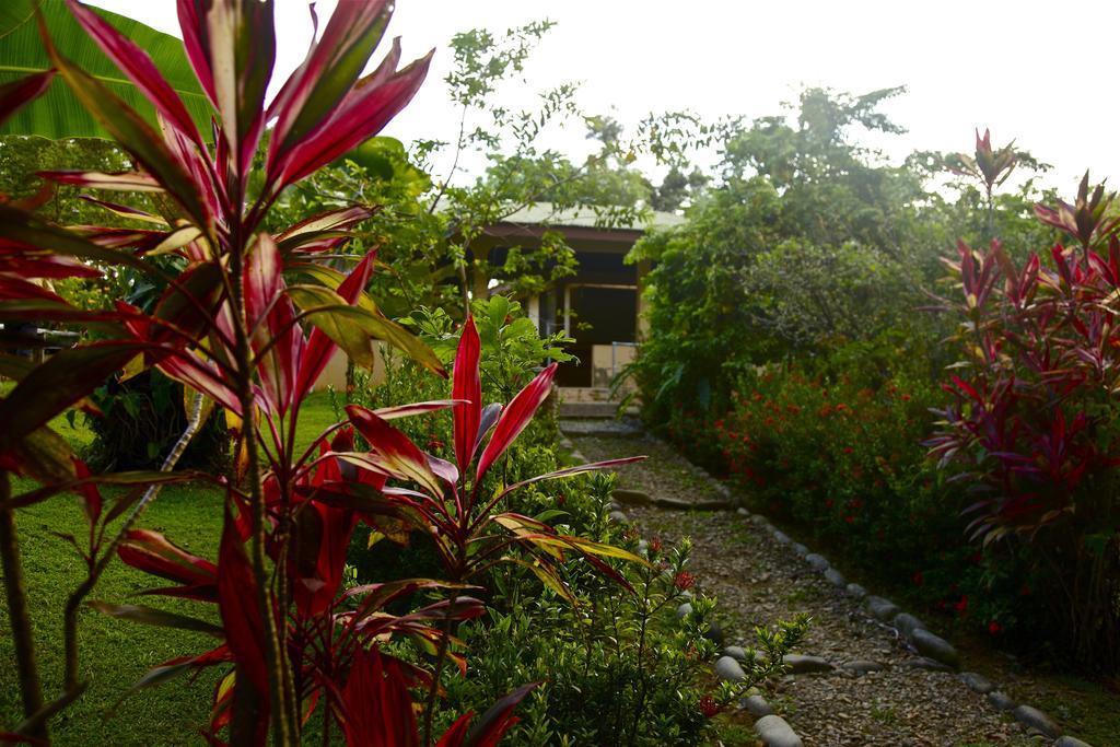Laureles Collection Uvita - Cabinas Los Laureles Eksteriør bilde